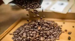 印尼陈年曼特宁Aged Mandheling G1水洗精品咖啡豆种植情况地理位