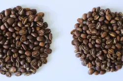 来看九个方面鉴定咖啡豆的好与坏！！1