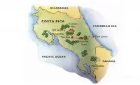 全国包邮哥斯达黎加黄蜜处理叶尔莎罗处理厂卡杜拉精品咖啡单品