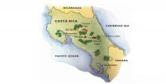 哥斯达黎加黄蜜叶尔莎罗卡杜拉精品咖啡豆研磨度烘焙程度处理方法