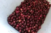肯尼亚冽里产区TOP珍珠圆豆PB精品咖啡豆的故事典故