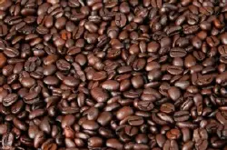各种咖啡豆的种类