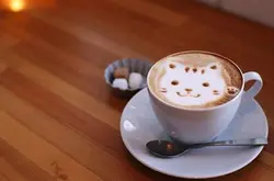 不找麝香猫帮忙的精品咖啡，人工发酵方式更健康