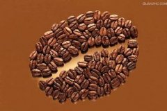 埃塞水洗西达摩sidamoG2精品咖啡豆种类、品牌推荐及庄园