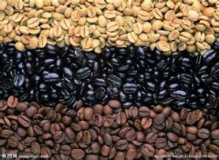 巴西摩吉安娜皇后庄园日晒COE精品咖啡豆差别、区分及获奖情况