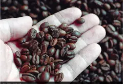从自制磨豆机维持咖啡风味 看见日本咖啡之神的职人精神