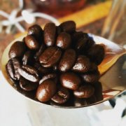 日晒埃塞丹奇梦九十+LevelUp精品咖啡豆分级、价格、生豆及烘焙度