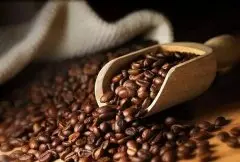 埃塞耶加雪菲科契尔kochere水洗G1精品咖啡豆种类、品牌推荐及庄