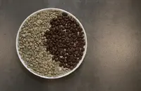 李宁应用咖啡碳技术打造最环保运动装