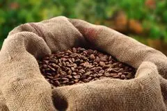 牙买加蓝山正确喝法 蓝山咖啡豆价格