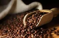 尼加拉瓜日晒象豆风味特点故事 尼加拉瓜象豆咖啡哪个牌子好