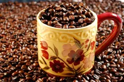 卡蒂姆咖啡豆风味，卡蒂姆咖啡介绍