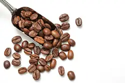 西达摩咖啡什么味道，西达摩咖啡的特点