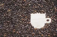 铁皮卡咖啡豆品种产区特点