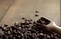 耶加雪菲水洗艾瑞加咖啡产区介绍 耶加雪菲咖啡怎么冲泡