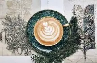 西达摩花魁咖啡产区介绍 西达摩咖啡怎么冲泡