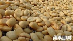 巴布亚新几内亚咖啡好喝吗 巴布亚新几内亚咖啡的制作方法