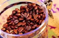 西达摩夏奇索咖啡咖啡豆行情怎么样 西达摩咖啡哪个牌子好