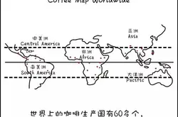 科普 | 咖啡馆里单品咖啡的种类及口味介绍