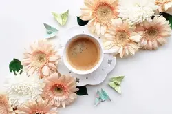 咖啡摄影教程 | 用“花与咖啡”向世界SAY HELLO