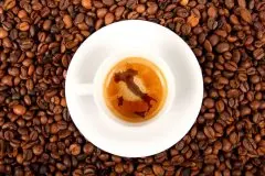 巴拿马瑰夏咖啡豆怎么样 巴拿马精品咖啡之路