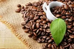 哥斯达黎加三奇迹庄园咖啡豆怎么样品种风味描述