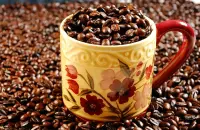 印度尼西亚曼特宁咖啡风味描述 曼特宁咖啡豆口感特点介绍