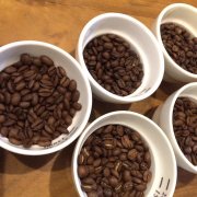 尼加拉瓜天意庄园咖啡豆风味口感品种产区介绍