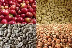 巴西咖啡豆的特点，巴西咖啡豆的种类