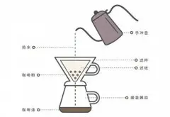 蓝山咖啡种植历史蓝山咖啡是什么处理方法风味特色