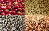 墨西哥咖啡豆怎么样，墨西哥咖啡豆风味描述