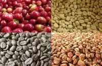 星巴克买的阿拉比卡咖啡豆需要注意什么