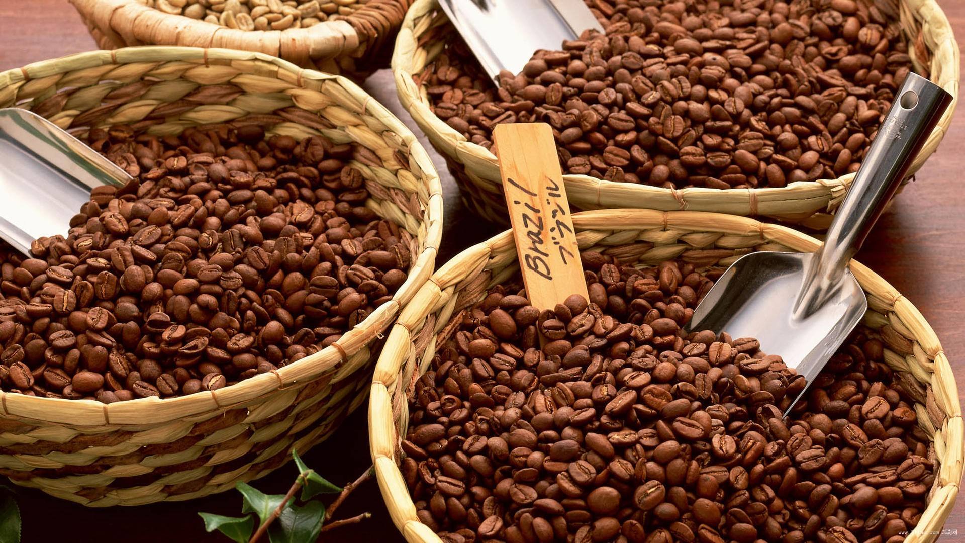 巴厘岛咖啡介绍，巴厘岛的罗百斯特种咖啡