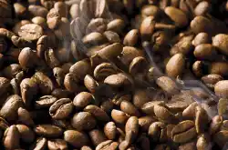 猫屎咖啡豆出产过程，猫屎咖啡豆风味描述