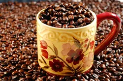 云南咖啡的品种特点如何 后谷云南咖啡豆产地风味口感特征介绍