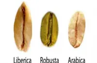 波多黎各咖啡豆产区信息产区分布风味描述特点种植历史