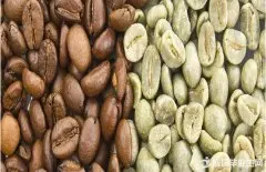 波多黎各单品豆咖啡豆特点产地信息风味描述种植历史