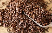 厄瓜多尔咖啡单品豆种植产区种植特点风味描述