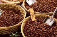 圣罗曼单品豆咖啡豆风味描述特点种植信息种植区域