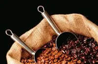 萨尔瓦多喜马拉雅庄园单品豆咖啡豆风味描述种植信息