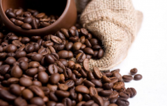 哥斯达黎加女神庄园单品豆咖啡豆处理法介绍风味描述特点