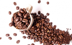 拉丁美洲咖啡豆单品豆特点风味描述特征品种