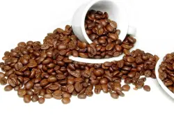 坦桑尼亚咖啡豆简介，坦桑尼亚咖啡味道