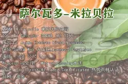 萨尔瓦多Miravalle 米拉贝拉庄园咖啡豆种植风味介绍