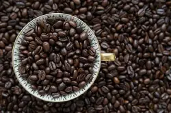 哥斯达黎加咖啡品种等级产区介绍