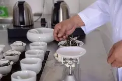 手冲式滤杯怎么挑选 手冲式咖啡滤杯的类型、功效及用途