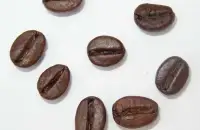 哥斯达黎加咖啡朵卡咖啡种植园气候种植烘培介绍