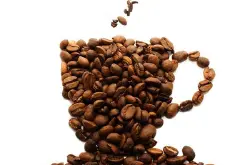 猫屎咖啡是怎么来的制作过程，正宗猫屎咖啡的冲泡方法简介