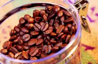 玛翡咖啡介绍，阿里山玛翡咖啡品种简介