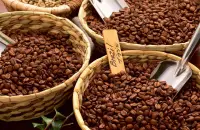 拉丁美洲咖啡口感风味具体描述